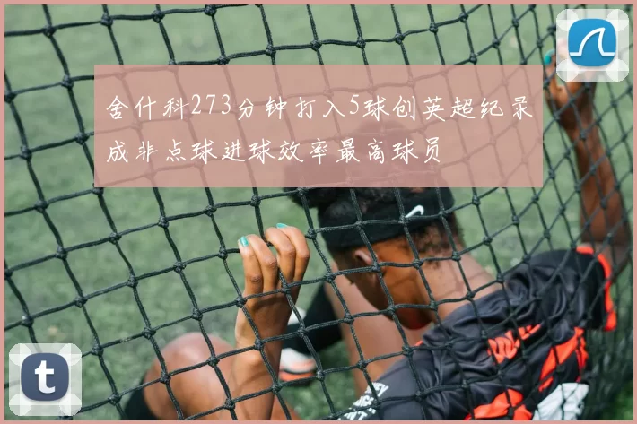 舍什科273分钟打入5球创英超纪录成非点球进球效率最高球员
