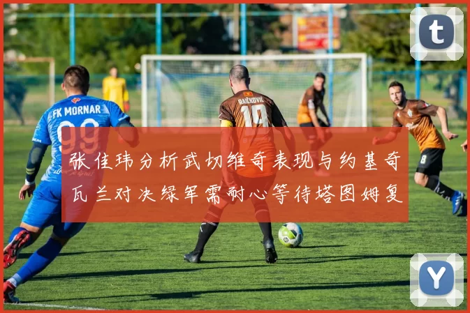 张佳玮分析武切维奇表现与约基奇瓦兰对决绿军需耐心等待塔图姆复出