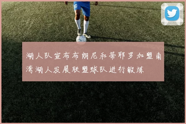 湖人队宣布布朗尼和蒂耶罗加盟南湾湖人发展联盟球队进行锻炼